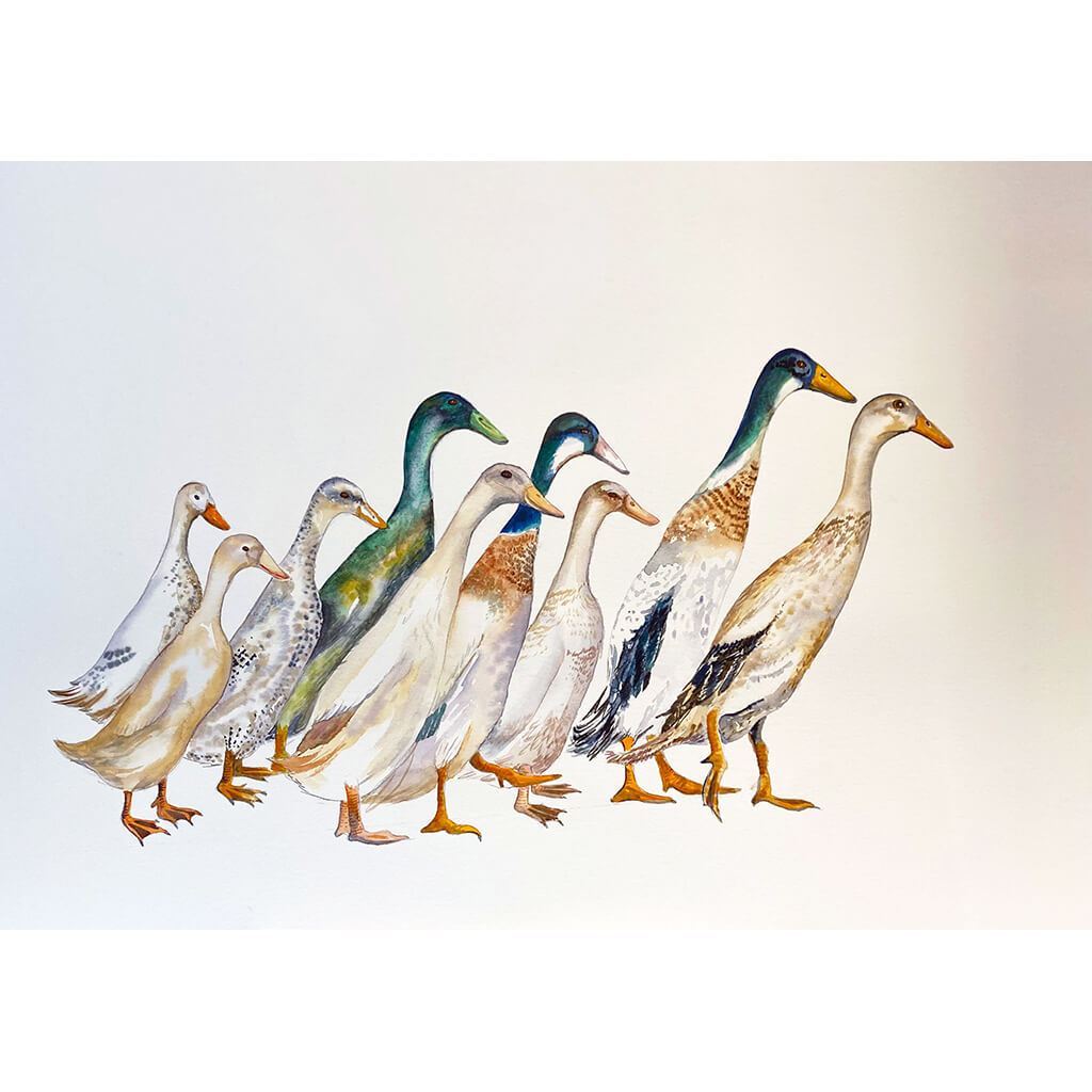 A Paddle of Ducks original watercolour painting by Helen Trevisiol Duff