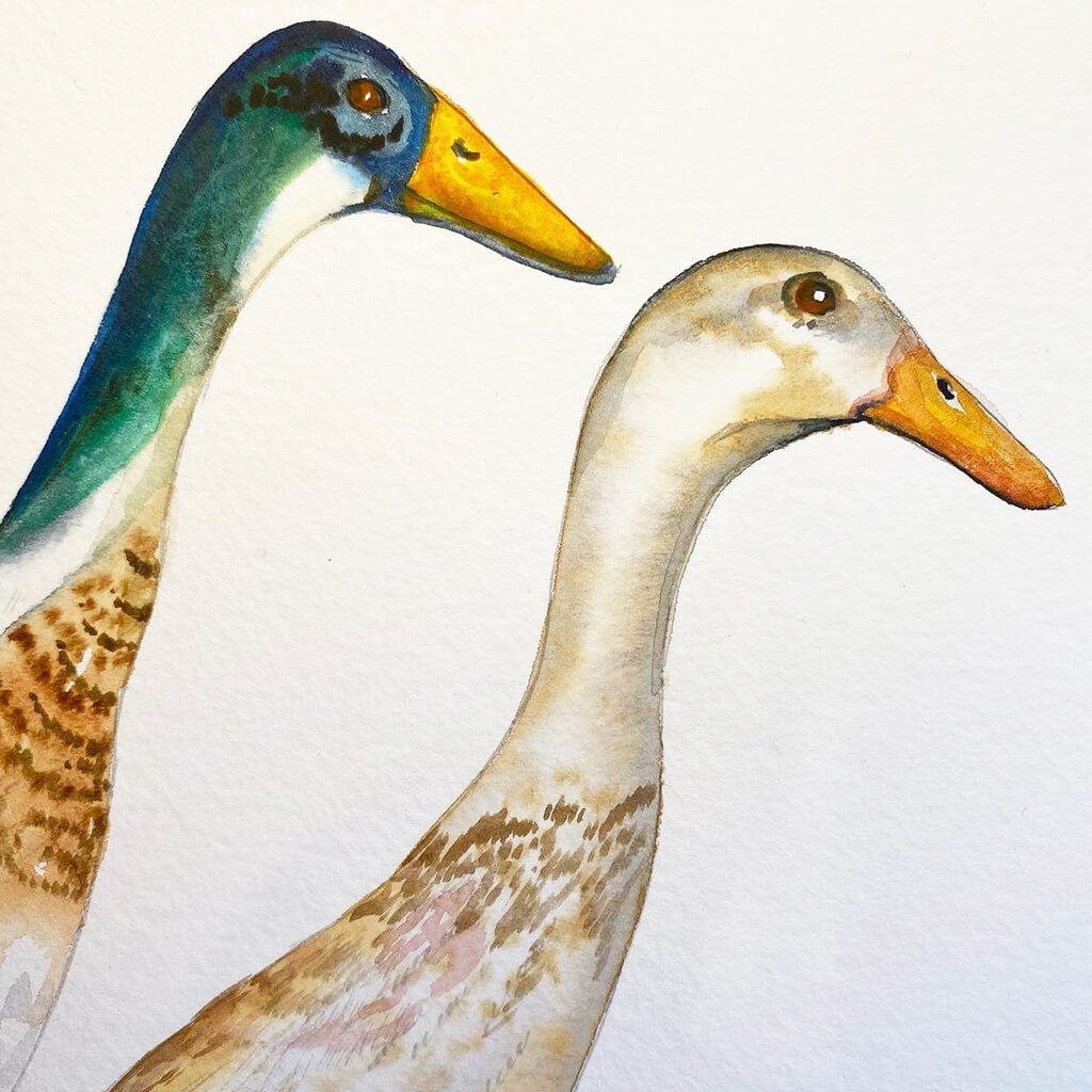 A Paddle of Ducks original watercolour painting by Helen Trevisiol Duff closeup