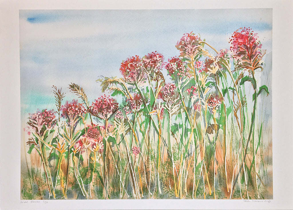 Wild Flowers by Helen Trevisiol Duff giclée print display